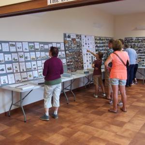 2016 06 16 Moulton Funday Village photographs 2