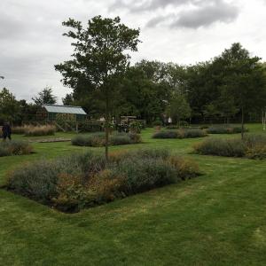 2017 10 09 Peter Lizs open garden Brookside Moulton 3