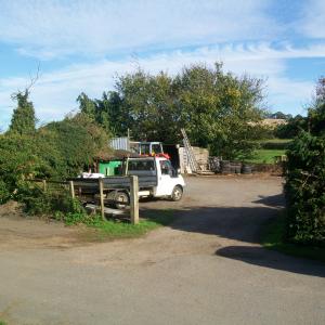 2017 27 10 Bury Lane Gazeley Rd Tony Jennings yard just before the sale 15
