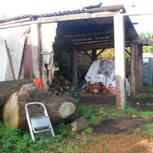 2017 27 10 Bury Lane Gazeley Rd Tony Jennings yard just before the sale 20