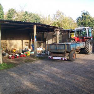 2017 27 10 Bury Lane Gazeley Rd Tony Jennings yard just before the sale 3