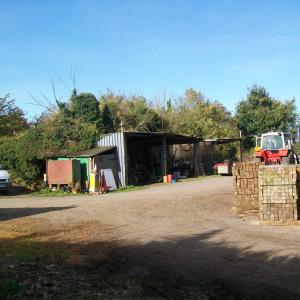 2017 27 10 Bury Lane Gazeley Rd Tony Jennings yard just before the sale 7
