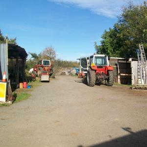 2017 27 10 Bury Lane Gazeley Rd Tony Jennings yard just before the sale 8