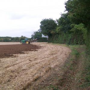 2018 05 09 Moulton beside the Dalham footpath