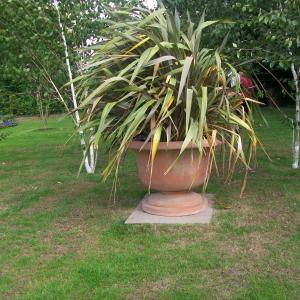 2018 09 09 Open Garden for charity No11 Brookside 6