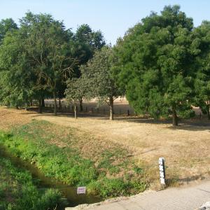 2018 20 07 Moulton Village Green effects of the drought