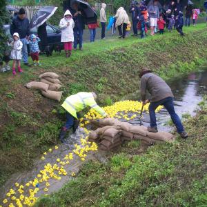2018 26 08 Moulton Fun day duck race rain 4