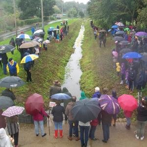 2018 26 08 Moulton Fun day duck race rain 6