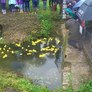 2018 26 08 Moulton Fun day duck race rain 7
