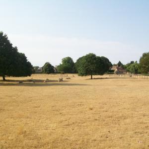 2018 effects of the drought of June JulyAugust 3