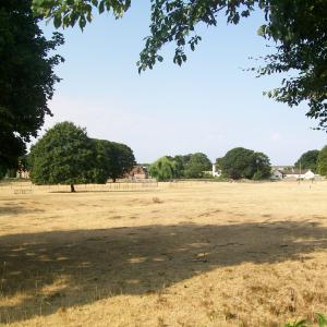 2018 effects of the drought of June JulyAugust 4