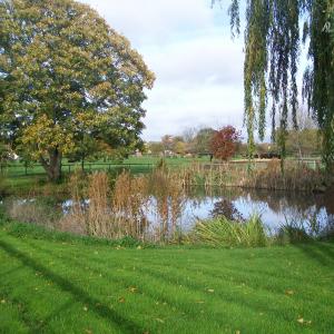 2019 04 11 French Hall pond