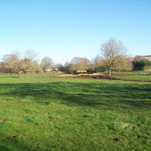 2019 04 12 French Hall Meadow Moulton the Galloways at rest.