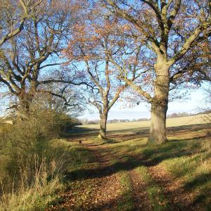 2019 04 12 The Oaks Dalham footpath towards Moulton