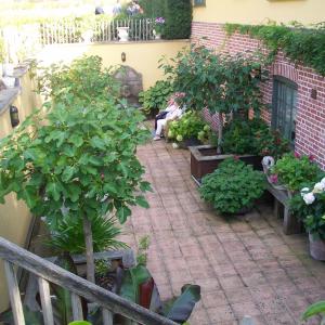 2019 08 09 No11 Brookside Liz Pete open garden 285 people attend George Anna on the gate with Katherine 6