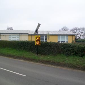 2019 22 03 Daffodils on the Village Green 2