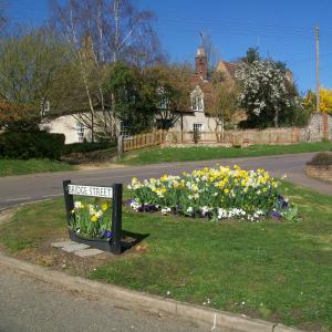 2019 22 03 Daffodils on the Village Green 3