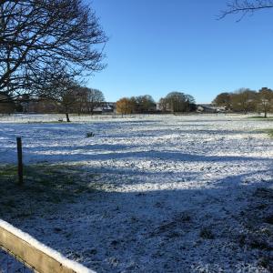 2019 30 01 Brookside Moulton French Hall meadow