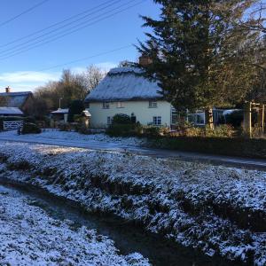 2019 31 01 Brookside Moulton 3