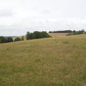 2019 August Views of Moulton Bonfire Hill 1