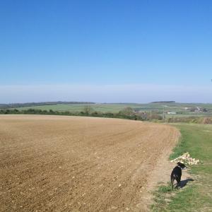 2020 05 04 Bonfire Hill footpath2