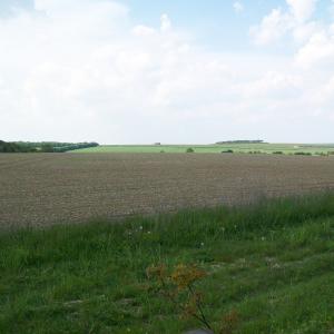 2020 08 04 looking towards Folly Hill for the Cheveley Rd.