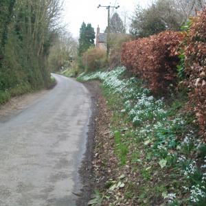 2020 14 02 Moulton Gazeley Rd.