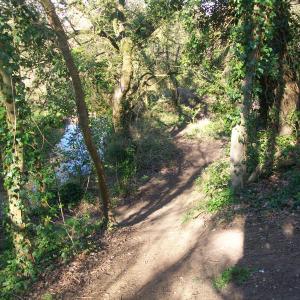 2020 15 04 March Moulton The Slippery Dip