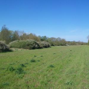 2020 15 04 Moulton Dalham Meadows Stony Field 1