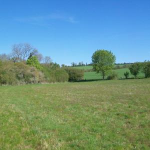 2020 15 04 Moulton Dalham Meadows Stony Field 2