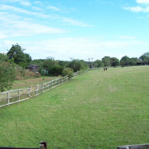 2020 16 07 Field beside the Gazeley Rd