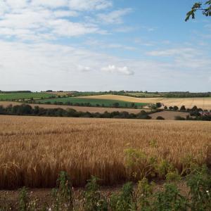 2020 16 07 Moulton Bonfire Hill view towards Ashley 2