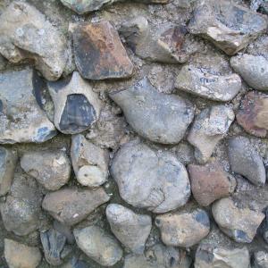 2020 19 04 Fossil No1 Priory Wall. Moulton 26