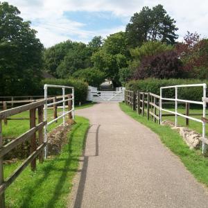 2020 22 07 Lanwades Bridge 2