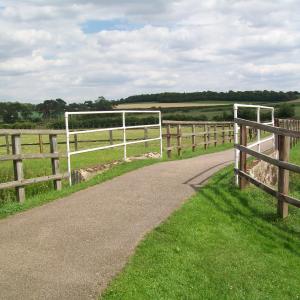 2020 22 07 Lanwades Bridge 4