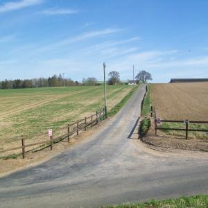 2020 24 03 Road to Primrose Hill farm. Moulton