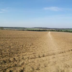 2020 24 03 footpath towards Bonfire Hill. Moulton 15