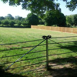 2020 24 05 New graveyard St Peters Moulton