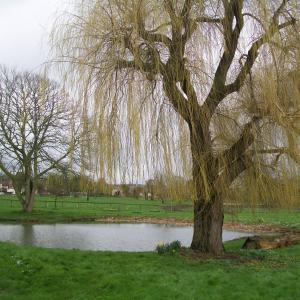 2020 27 02 French Hall Pond Moulton.