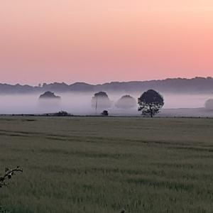 2020 30 05 Sunrise looking towards Kentford Chris Grant picture 1