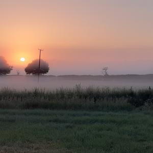 2020 30 05 Sunrise looking towards Kentford Chris Grant picture 2