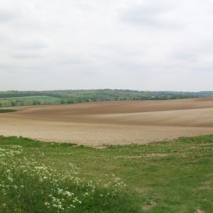 2020 Moulton Parish Ashley Rd looking towards Dalham 3