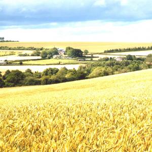 2020 Moulton Primrose Hill looking NW Views by Viviene Houghlen 28