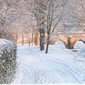 2020 Moulton St Peters Views by Viviene Houghlen 5