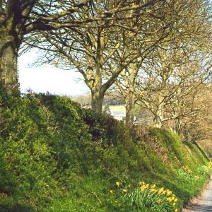 2020 Moulton Views by Viviene Houghlen 16