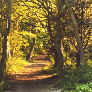 2020 Moulton Views by Viviene Houghlen 19