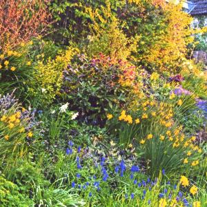 2020 Moulton Views by Viviene Houghlen 20