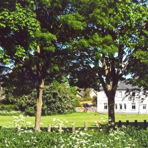 2020 Moulton Views by Viviene Houghlen 22