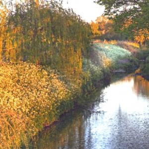 2020 Moulton Views by Viviene Houghlen 24