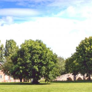 2020 Moulton Views by Viviene Houghlen 29